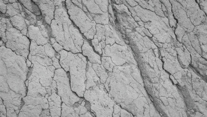 A rough, dry, cracked bark pattern on an old tree, resembling textured ground in a drought-stricken desert