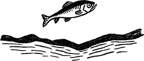 Dynamic fish leaping over water surface - black and white sketch for nature design