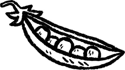 Hand-drawn green pea pod sketch with open peas for natural design themes