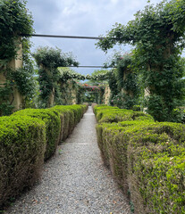 Palazzo Gromo Losa