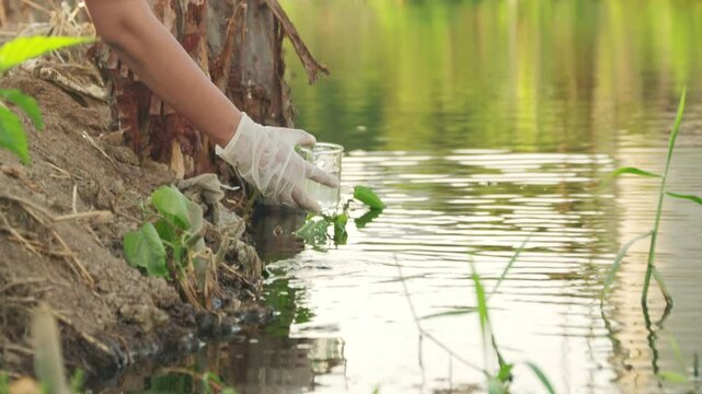 Female environmental researcher inspects water conditions randomly collects wastewater samples from river outside the factory for environmental friendliness.