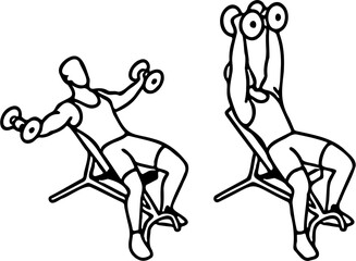 vector line art illustration of Man doing Incline dumbbell fly exercise, isolated on white