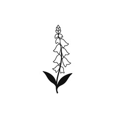 Black and white outline illustration of a foxglove flower with leaves © Riaz