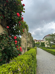 Palazzo Gromo Losa