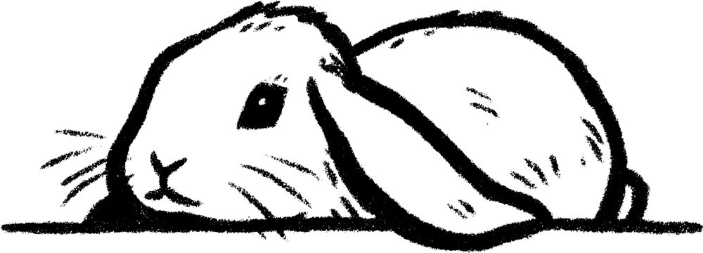 Charming sketch of a plush rabbit with floppy ears for creative designs