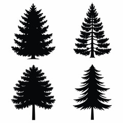 Obraz premium Collection of four black pine tree silhouettes isolated on white background