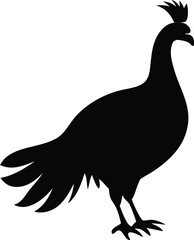 This collection of black and white image showcase illustration and symbol related to Turkey