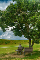 woman tourist in hat is resting on bench in the shade of tree in the park.