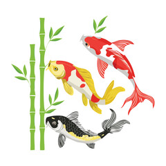 Graceful Koi Fish with Tall Bamboo Growth
