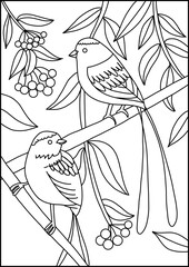 bird on a branch