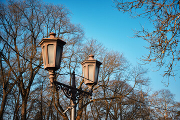 Ornate vintage streetlamp with two lanterns set against backdrop of leafless trees and clear blue sky at winter park