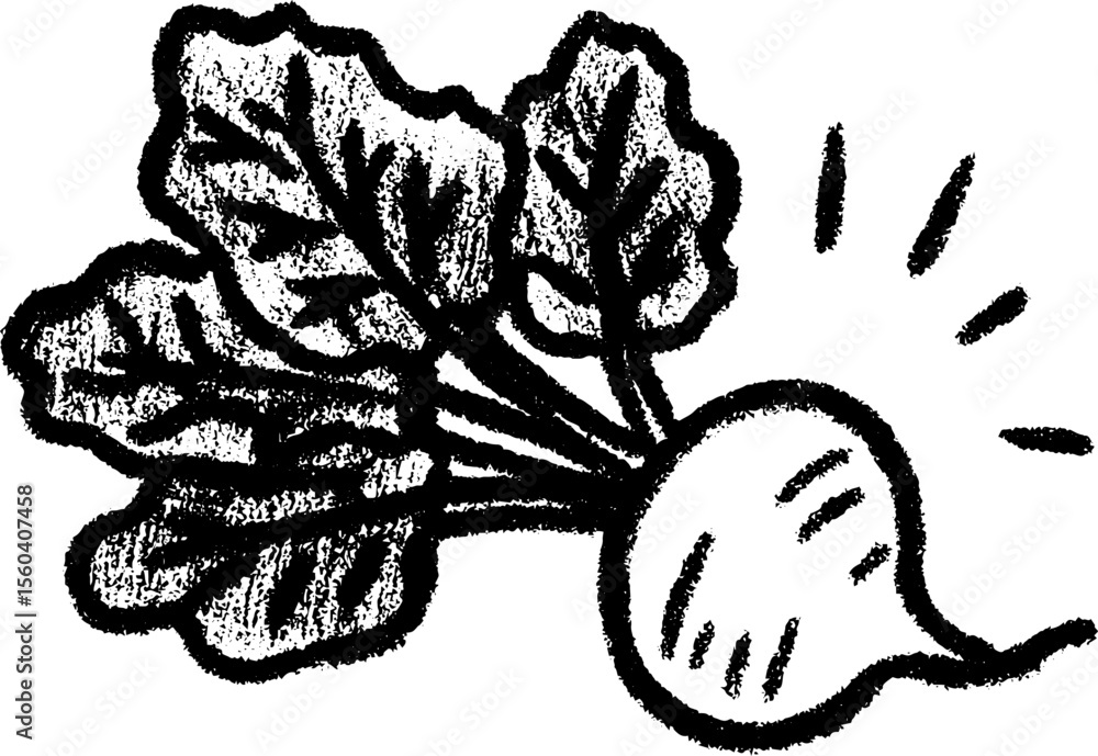 Poster hand-drawn beetroot sketch with leaves in crayon texture for artistic design
