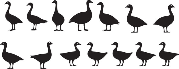 Goose Silhouettes Vector Graphics of Birds