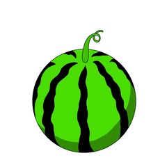スイカ(１玉)