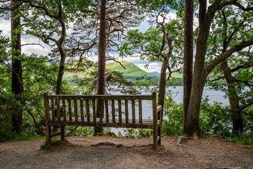 A wooden bench nestled among trees at a Derwentwater viewpoint offers a peaceful glimpse of...