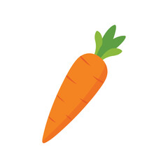 carrot isolated on white