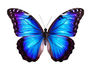 Glowing Iridescent Butterfly with Blue and Purple Wings, Isolated on Black Background