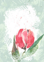 Delicate, cute pink tulip, spring summer illustration, gift card for a woman, mom. Creative postcard design with flowers on a textured green background.