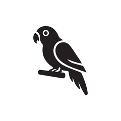 Bird vector silhouette, black color isolated on white background. Vector illustration