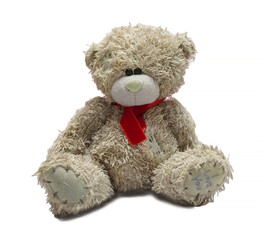 Soft toy, teddy bear, with fluffy fur, sits on a white background, close-up.