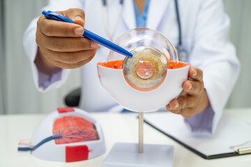 Asian doctor with eye human anatomy model for study diagnosis and treatment in hospital.