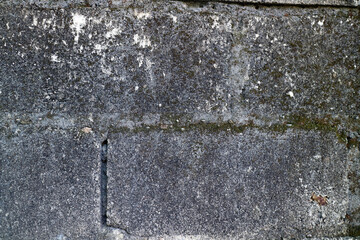 Textured Concrete Wall with Moss and Cracks