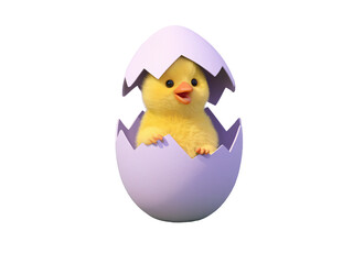 Adorable baby chick emerging from purple egg isolated on a white background