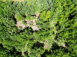 Aerial View of Dense Forest Canopy