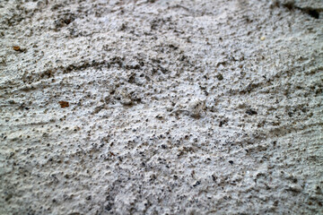 Textured Gray Surface with Speckles