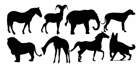 Silhouette Collection of Wild and Domestic Animals