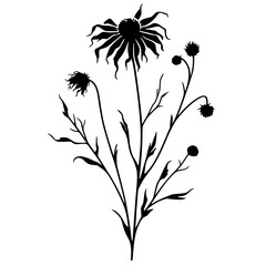 Silhouette of wilted flowers