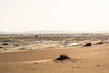 White rock formations and sand dunes in Egypt's White Desert, natural desert landscape	