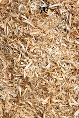 Natural wood dust background at wood cutting in forest.