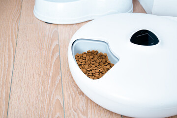 Smart cat feeder with kibbles. Automatic feeder while owners are away for pet feeding. Self-feeding...