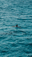 Fototapeta premium Fernando de Noronha