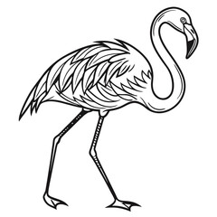 Continuous line drawing of flamingo