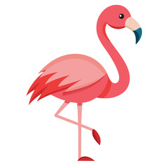 Pink flamingo on a white background. Vector illustration.