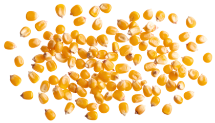  Scattered Corn Kernels in Floating Motion with Shadow Play, Isolated on Transparent Background PNG