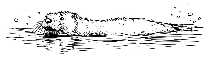 Obraz premium swimming otter in river water