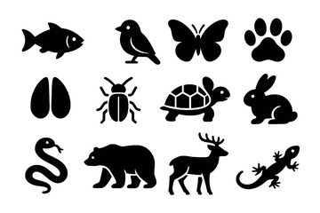 Black set of 12 wildlife icons. Minimal vector for natural habitats and biodiversity.
