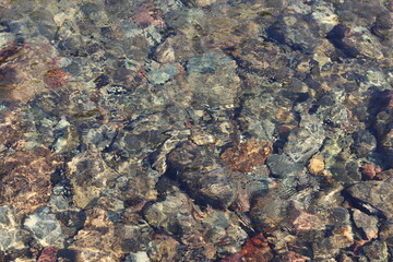 Clear river water with a bed of stones