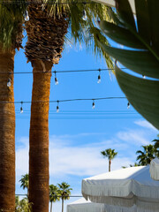 Summertime with palm trees, chain of lights and parasols against blue sky