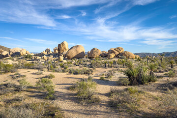 Scenic view of rock formation and Yucca Palm tree at Arch Rock Trail, Joshua Tree National Park, California, United States against blue sky with clouds