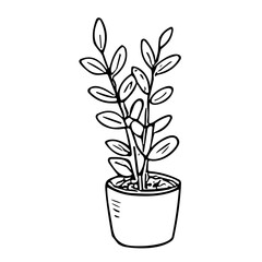Potted succulent plant doodle sketch vector illustration on transparent background, indoor greenery