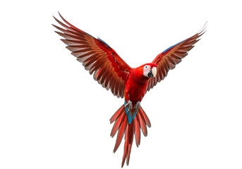 Obraz premium Vibrant Macaw Parrot in Flight with Colorful Feathers Against White Background, Symbolizing Freedom and Tropical Energy PNG