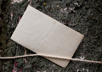 Vintage empty paper with rope on the old wooden bark texture of the tree