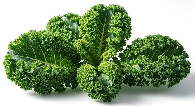 Fresh Green Curly Kale Leaves on White Background Healthy Organic Vegetable - Powered by Adobe