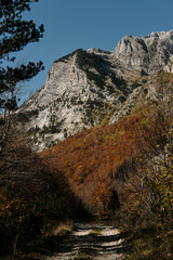 Narrow trail winding through vibrant autumn forest beneath steep cliffs in Prokletije National...