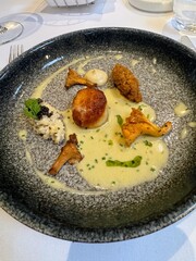 Elegant starter of scallops and mushrooms in sauce
