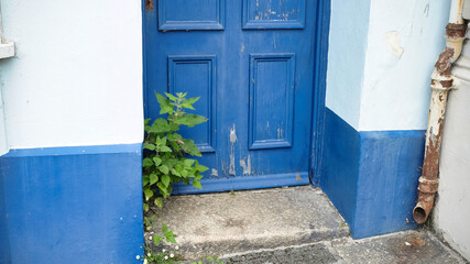 nettles growing out of dilapidated doorway